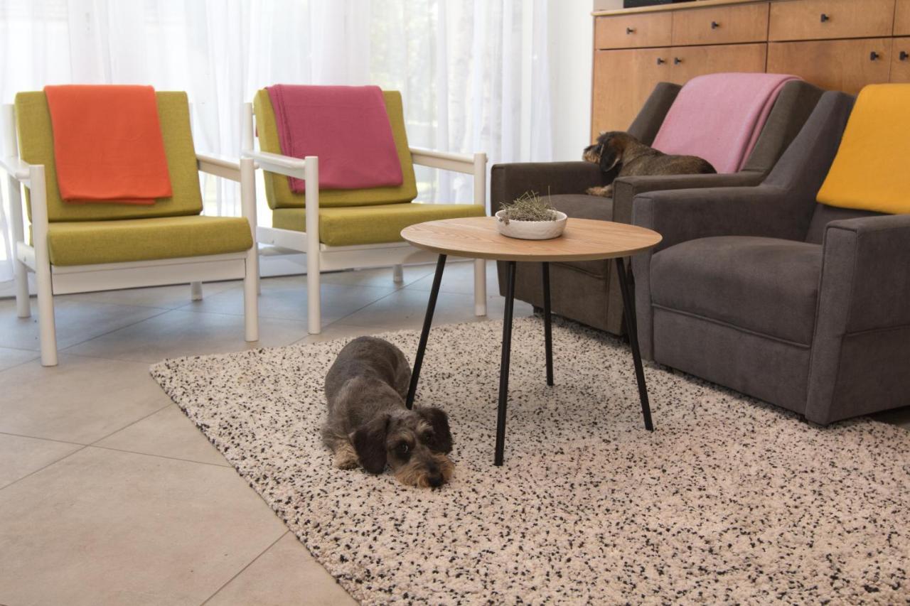 Dioliget Apartment Ohid Luaran gambar